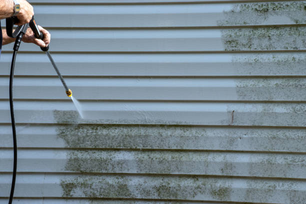 Trusted Muncy, PA Siding Installation Experts